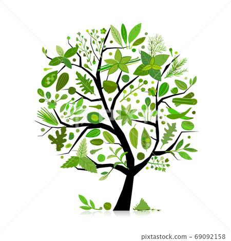 Spice shop, concept image, herbs and spices collection on tree for your design Spice shop, concept image, herbs and spices collection on tree for your design 69092158
