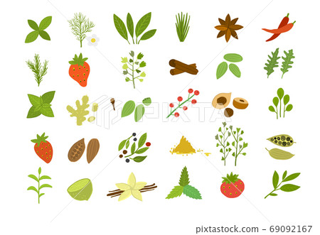 Spicy collection, sketch for your design 69092167