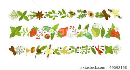 Spicy and berries collection, sketch for your design Spicy and berries collection, sketch for your design 69092168