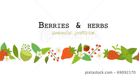 Berries and herbs. Seamless pattern for your design Berries and herbs. Seamless pattern for your design 69092170