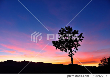 黎明時的阿里山 69092294