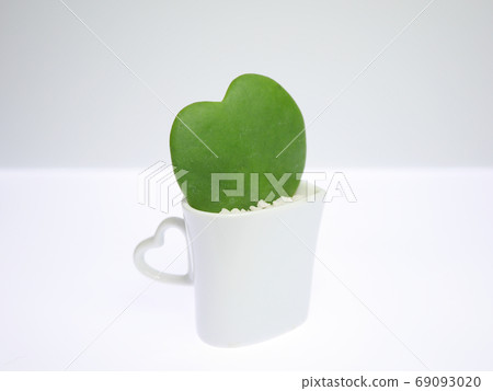 Heart-shaped leaf "Love Heart" 03 Heart-shaped leaf "Love Heart" 03 69093020
