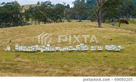 Beekeeping In The Country 69093205