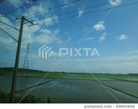 Rice field from the car window 69093608