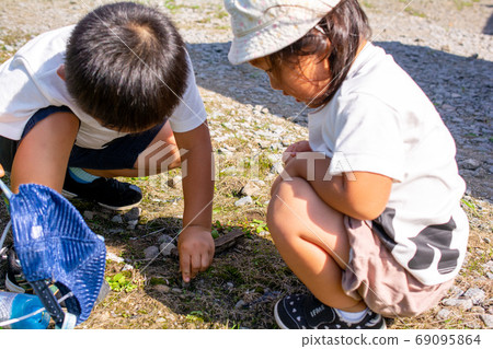 A child looking for an insect 69095864