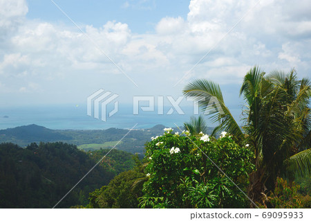 sea and mountain views among tropical greenery sea and mountain views among tropical greenery 69095933