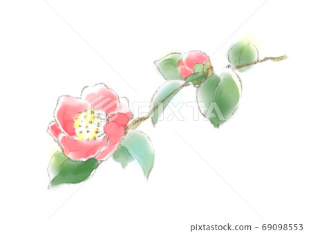 感謝信山茶花 69098553
