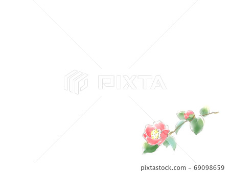 Thanksgiving gift camellia A4 horizontal size Thanksgiving gift camellia A4 horizontal size 69098659