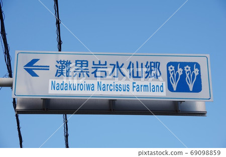 Nada Kuroiwa Narcissus Town, Awaji Island, Hyogo Prefecture Nada Kuroiwa Narcissus Town, Awaji Island, Hyogo Prefecture 69098859