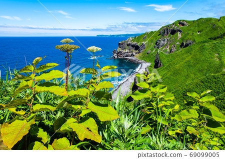 北海道積丹半島積丹藍海角 69099005