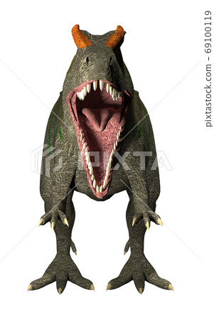 Allosaurus Allosaurus 69100119