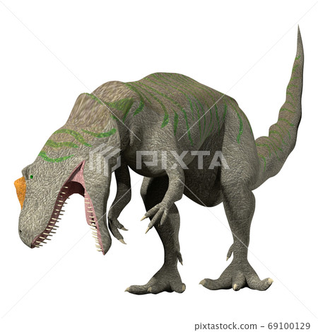 Allosaurus Allosaurus 69100129