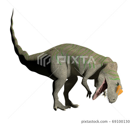 Allosaurus Allosaurus 69100130