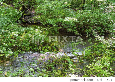 Scenery of the Tsutanuma promenade, stream stream, Towada City, Aomori Prefecture Scenery of the Tsutanuma promenade, stream stream, Towada City, Aomori Prefecture 69102395