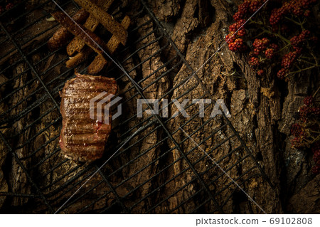 dish on a tree bark 69102808