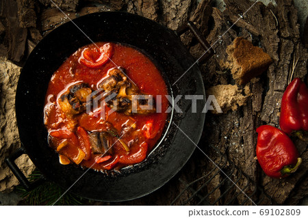 dish on a tree bark dish on a tree bark 69102809