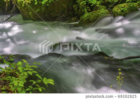 Summer Oirase Stream Asura Stream Towada City, Aomori Prefecture Summer Oirase Stream Asura Stream Towada City, Aomori Prefecture 69102825