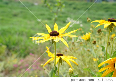 Ludvika Ludvika 69102899