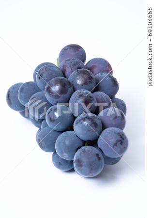 Large Kyoho grape 69103668