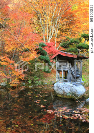 [Nagano] Autumn leaves reflected in Rei Shoji Temple and pond 69103832