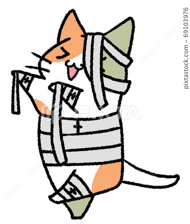 印花布作為木乃伊 69103976