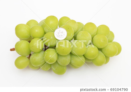 Shine Muscat 100 日元硬幣 Shine Muscat 100 日元硬幣 69104790