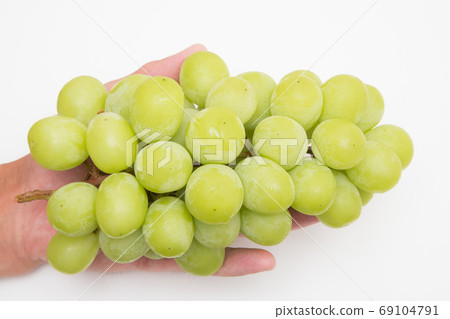 Shine Muscat Shine Muscat 69104791