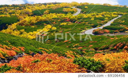 Autumn leaves Norikura echo line is filled with yellow leaves in the sky 69106456