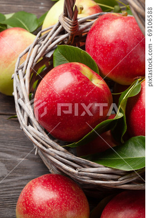 Ripe garden apple fruits 69106588