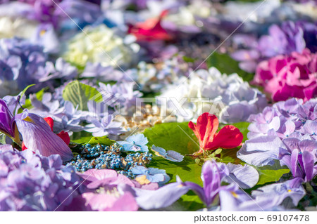 花之水，宮城岳神社的夏季特色[福岡縣福津市] 69107478