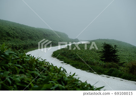 白色的路 69108015