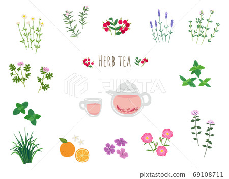 Herbal tea and herbs illustration Herbal tea and herbs illustration 69108711