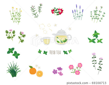 新鮮的涼茶和草藥的插圖 69108713