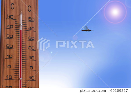 Image of summer _ Midsummer Thermometer, blue sky and dragonfly Image of summer _ Midsummer Thermometer, blue sky and dragonfly 69109227