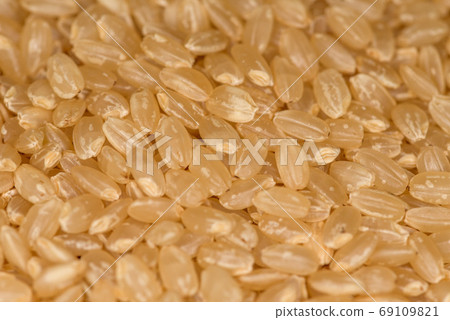 糙米特寫 69109821