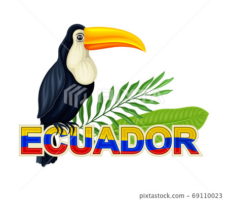 Toucan Bird with Palm Leaves as Ecuador Attribute Vector Illustration Toucan Bird with Palm Leaves as Ecuador Attribute Vector Illustration 69110023
