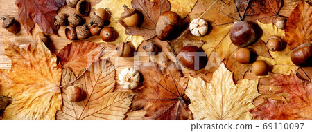 Autumn seasonal background Autumn seasonal background 69110097