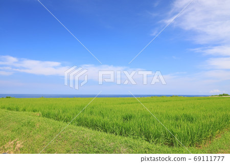 佐渡島和稻田上的日本海夏日風景 69111777