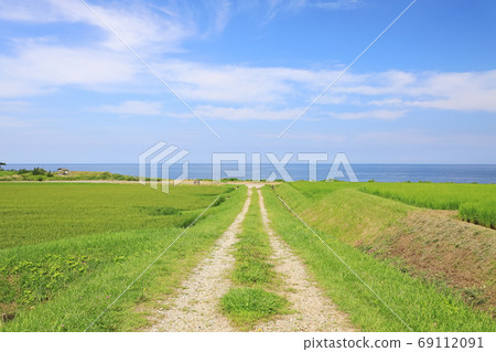 Summer view of the Sea of Japan on Sadogashima and rice fields 69112091