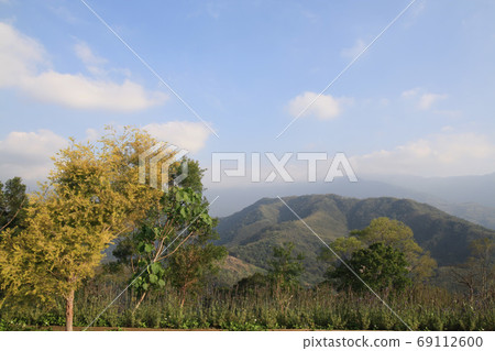 Sunny exterior landscape of the Green Forest 69112600