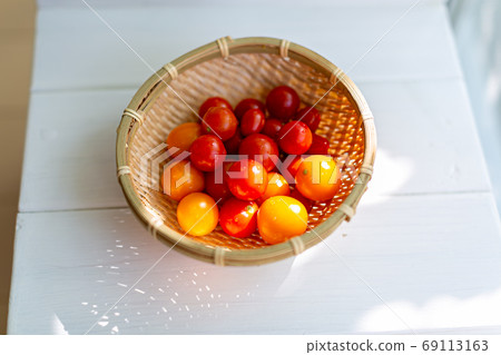 Petit tomato Petit tomato 69113163