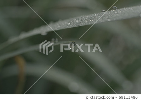 Inversion world (morning dew) 69113486