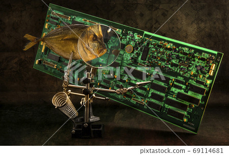 Moonfish with magnifying glass and electronic computer board Moonfish with magnifying glass and electronic computer board 69114681