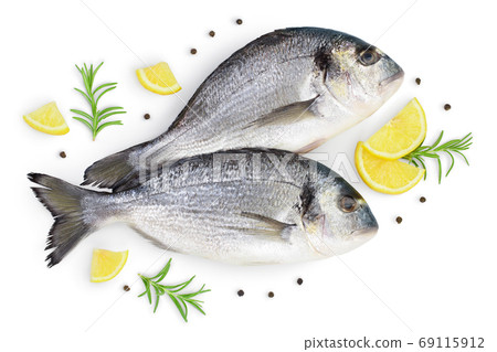 Fish dorado isolated on white background with clipping path and full depth of field. Top view. Flat lay Fish dorado isolated on white background with clipping path and full depth of field. Top view. Flat lay 69115912