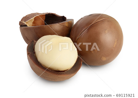 macadamia nuts isolated on white background with clipping path and full depth of field 69115921