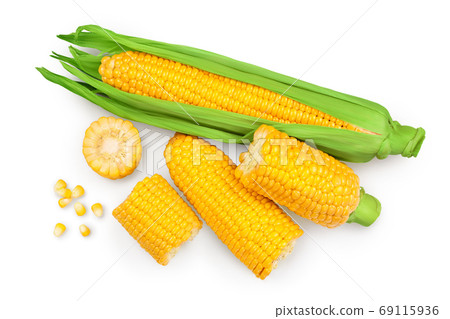 ear of corn isolated on a white background. Clipping path. Top view. Flat lay ear of corn isolated on a white background. Clipping path. Top view. Flat lay 69115936