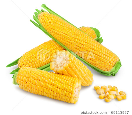 ear of corn isolated on a white background. Clipping path and full depth of field ear of corn isolated on a white background. Clipping path and full depth of field 69115937