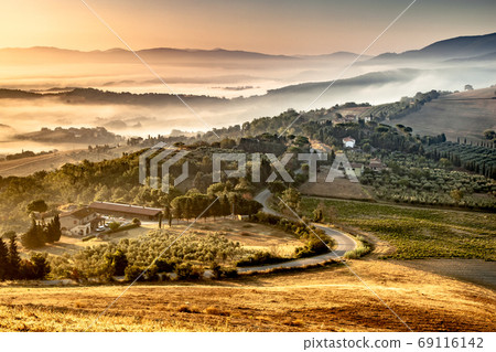 Morning Fog over Tuscan Countryside 69116142