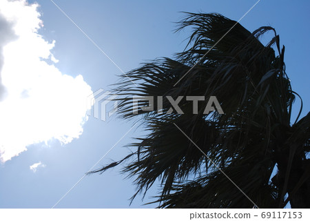 Windstorm Windstorm 69117153