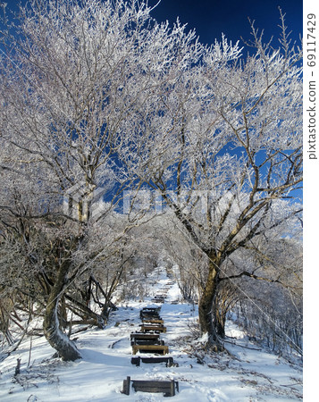 Hoarfrost Taki Mountains Trail Hoarfrost Taki Mountains Trail 69117429